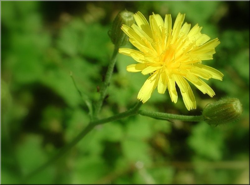 dscn0011952-3