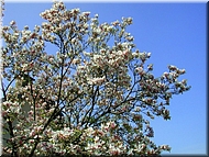 dscn0010475-2