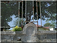 dscn0010809-1