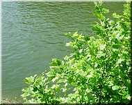 dscn0011574-2