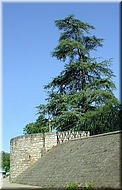 dscn0011577-2