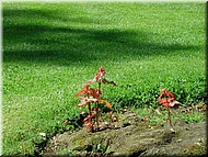 dscn0011608-2