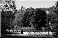 dscn0011610-3