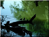 dscn0011629-2