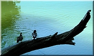 dscn0011630-2