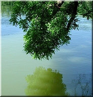 dscn0011659-2
