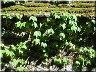 dscn0011764-2