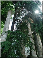 dscn0011791-2