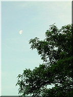 dscn0011935-2