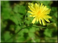 dscn0011952-3
