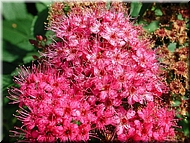 dscn0011956-3
