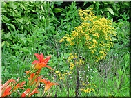 dscn0011966-1