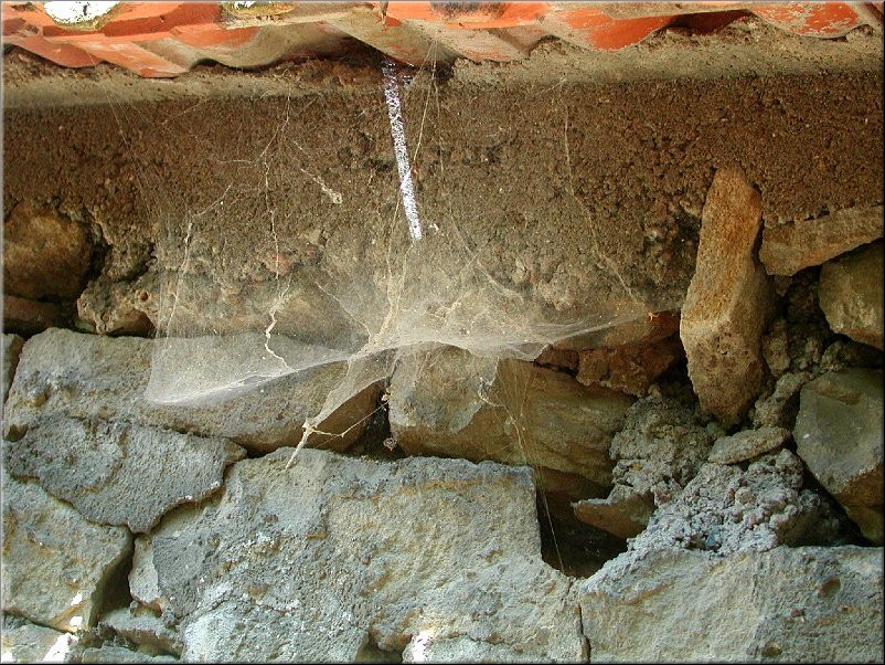 dscn0012512.jpg