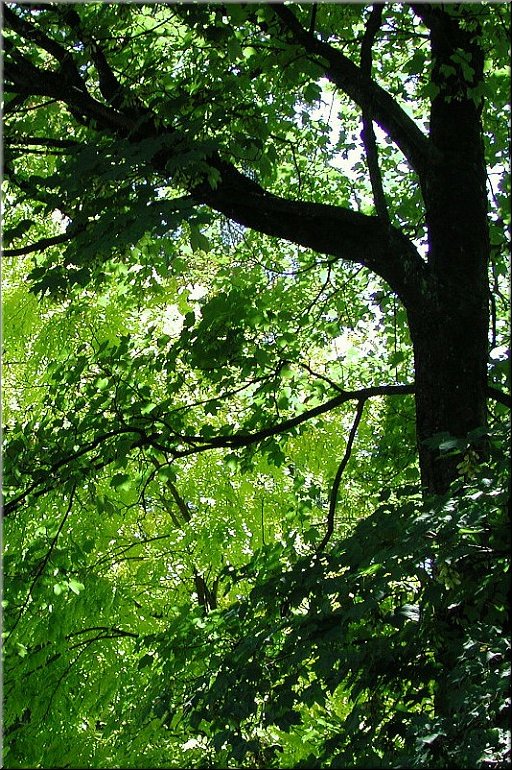 dscn00126221.jpg