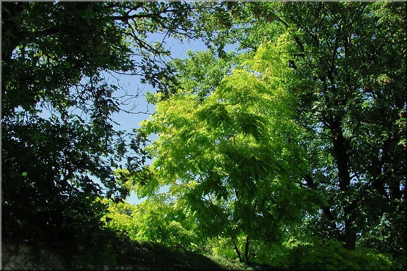 dscn0012626.jpg