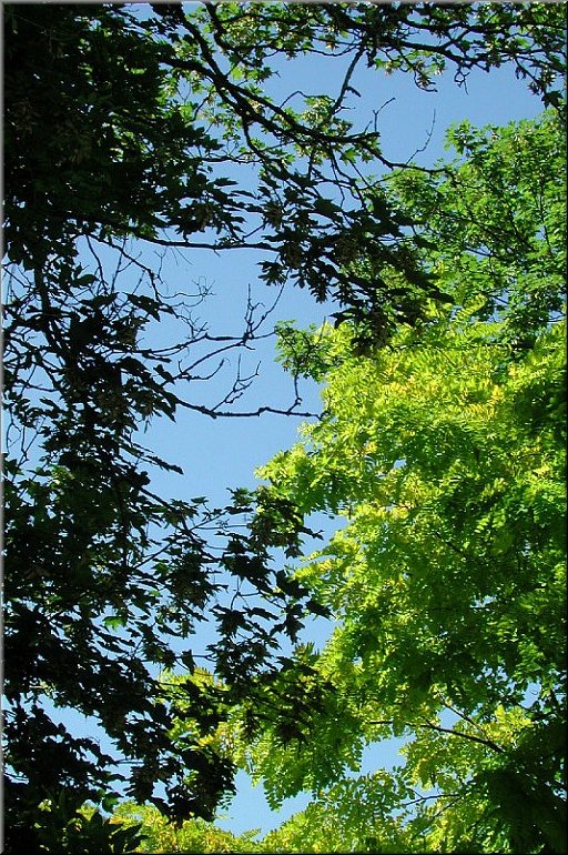 dscn0012627.jpg