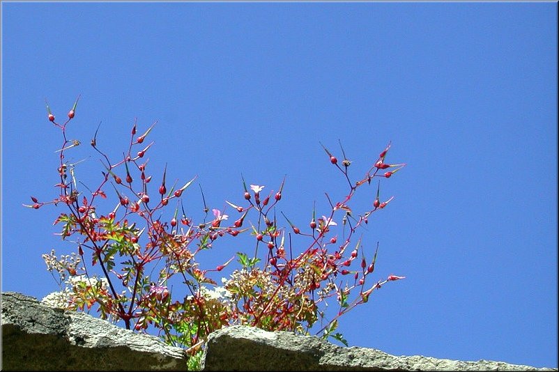 dscn0012630.jpg