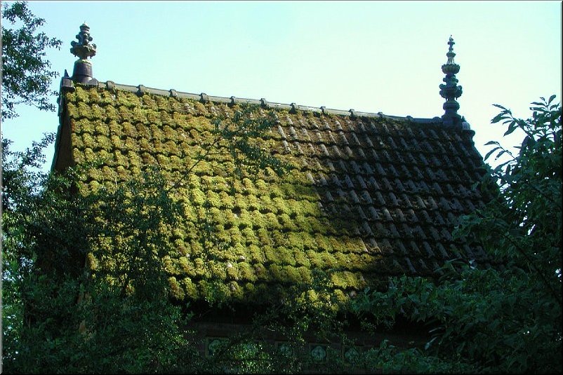 dscn0012720.jpg