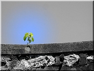 dscn00125091