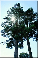 dscn0012598