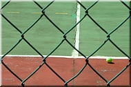 dscn00126161