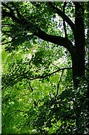 dscn00126221