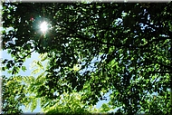 dscn0012623