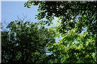 dscn0012624