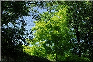 dscn0012626