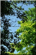 dscn0012627