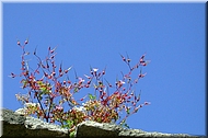 dscn0012630
