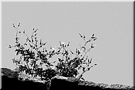 dscn00126301
