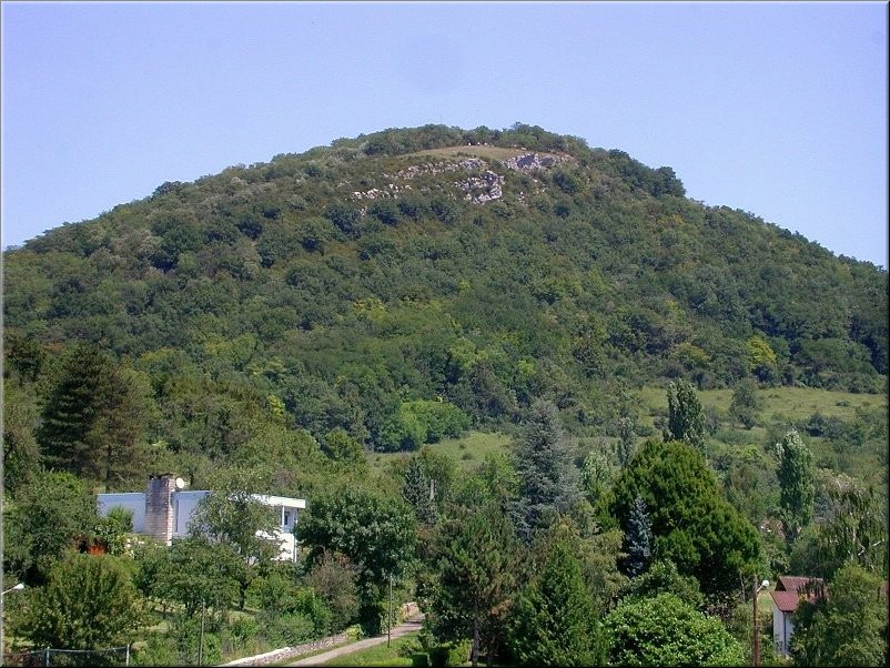 dscn0012751