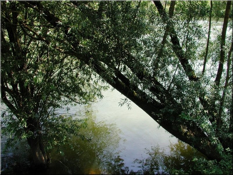 dscn0012785