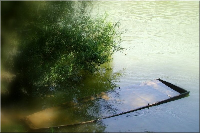 dscn0012786