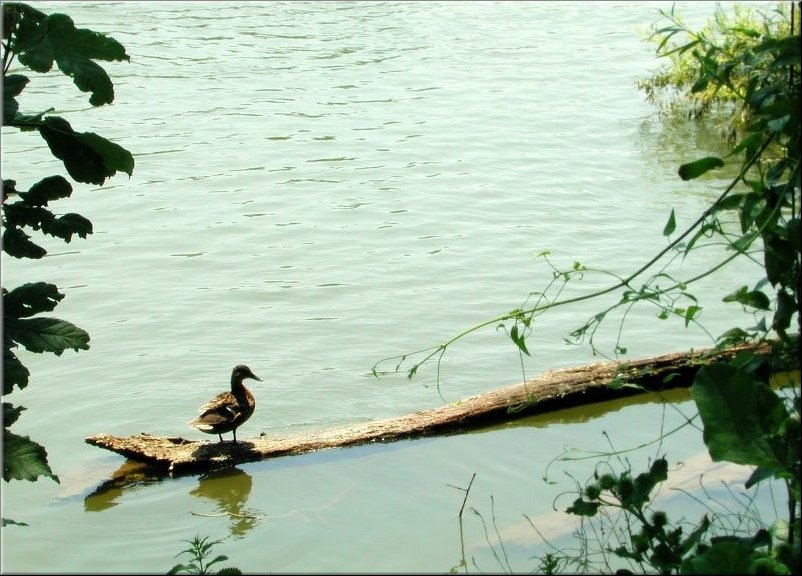 dscn0012791
