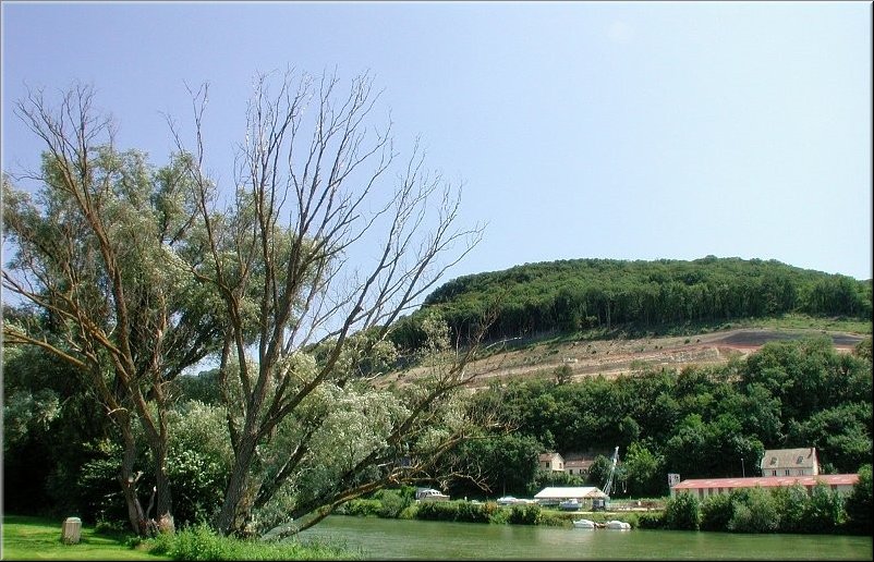 dscn0012793