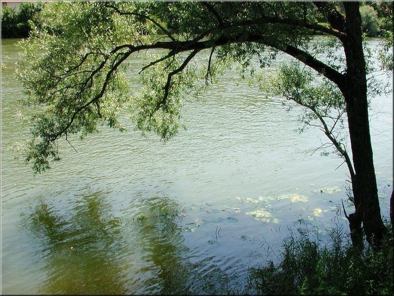 dscn0012795