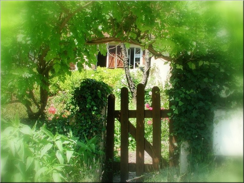 dscn0012800