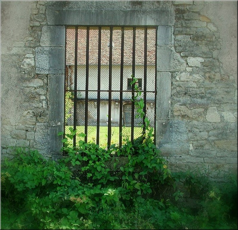 dscn0012806