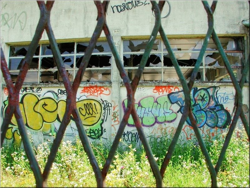 dscn0012811