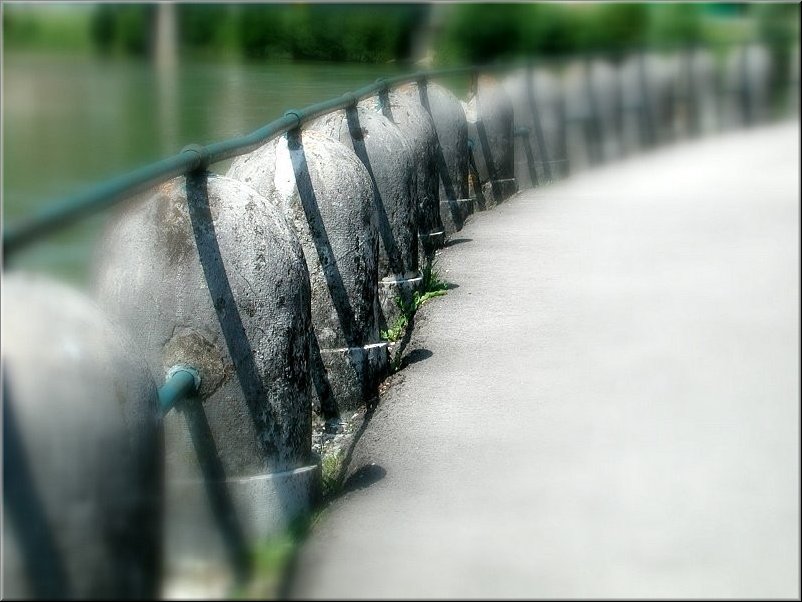 dscn0012813-5