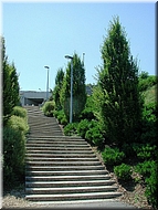 dscn0012736-2.jpg