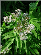 dscn0012743-2.jpg