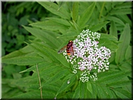 dscn0012744-2.jpg