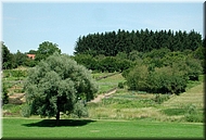 dscn0012749-2.jpg