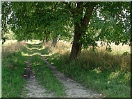 dscn0012754-2.jpg