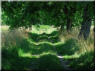 dscn0012755-2.jpg