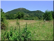 dscn0012756-2.jpg