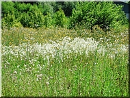 dscn0012759-2.jpg
